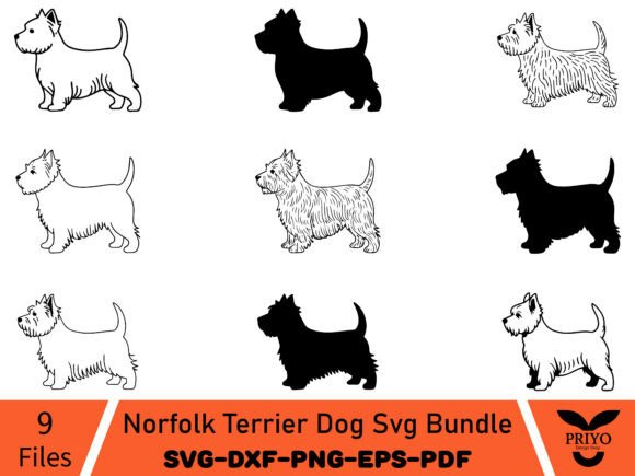 A Norfolk Terrier Illustration for Rustic Branding