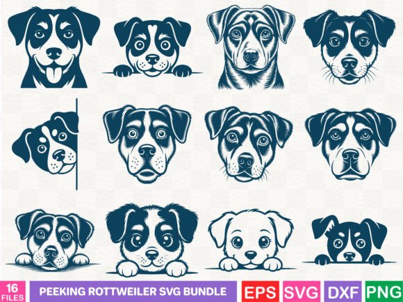 A Rottweiler's Warm Welcome: Graphics & Illustrations for Branding