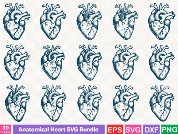 Anatomical Heart SVG Bundle: A Designer's Review for Embroidery